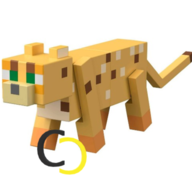 Cheetah Craft