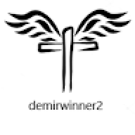 demirwinner2