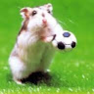 HamsterMerdo