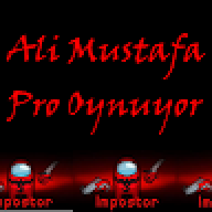 Ali13123