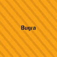 Bugs