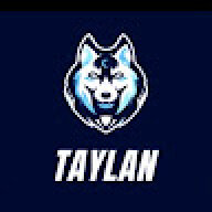 Tazy
