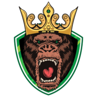 ReaNetwork