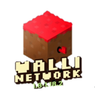 wallinetwork