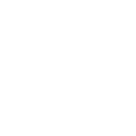Developer