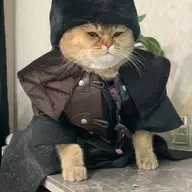 Yikosu