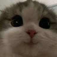 KatilKedy