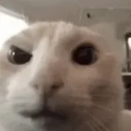 emirkwia