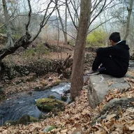 AliP_1