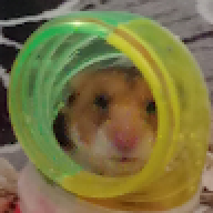 adssagsadf