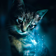 mace_baaran
