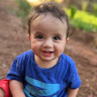 Arven