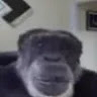 zortcuk