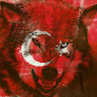 Burak454