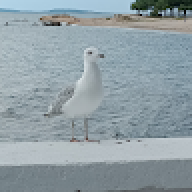 mahmutkrm
