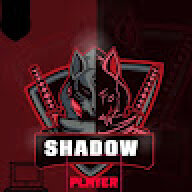 ROBLOX_PLAYER
