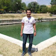 ali nazik
