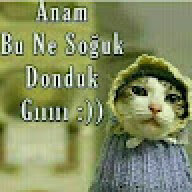 bbok