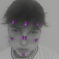 raxlienn