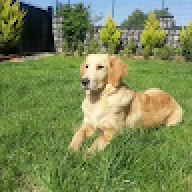 fermankaya