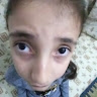 Leblebi_19