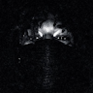 BayAvatar