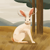 asbycoder