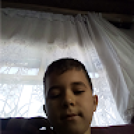 31yqlaklqpii