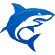 SB NETWORK