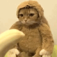 SwenReyiz