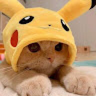babapronecat