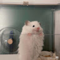 Baxii