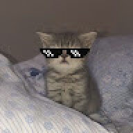 efebnvn