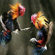 ebubekirner