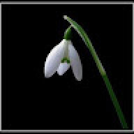 yigit 67