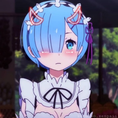 Zonrail