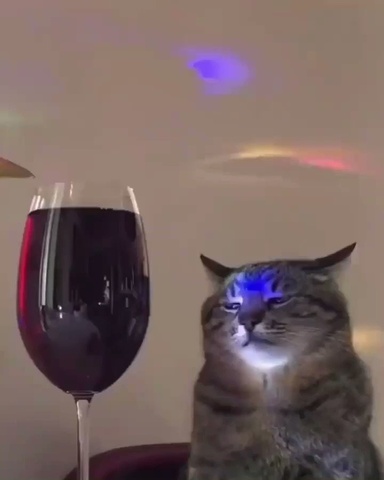 EmirhanSalmanTR