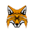 NesoiNetwork