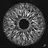 Eyes