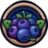 iArda_ASO