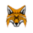 NesoiNetwork