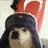 ByGuss