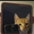 Ahmet-Morzn_F5