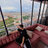 arda_52