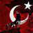 emircan1221