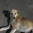 ALİ BURAK54564564345