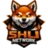 shunetwork