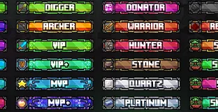 WellSetups - Elite Rank Paketi [+110 Rank] [KURULUM VAR]